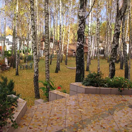 House In A Birch Grove Gyvenimas sodyboje Vilnius